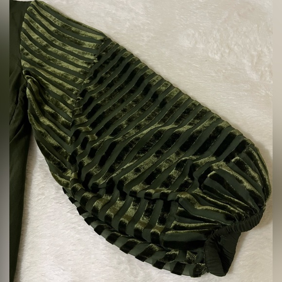 Soft Surrounding Women’s Dark Green Top with Velvet Striped Sleeve Sz M - Picture 6 of 13